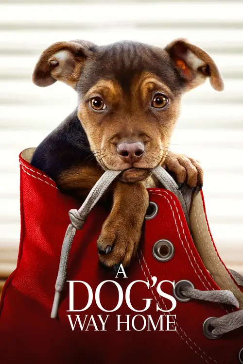 a dog s way home 2019