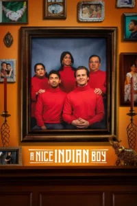 a nice indian boy 2025