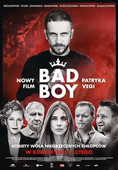Download Bad Boy (Season 1) Dual Audio {Hindi English} Netflix Series 480p | 720p | 1080p WEB DL 3 bad boy season 1