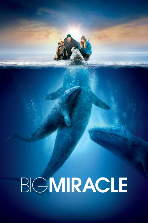big miracle 2012