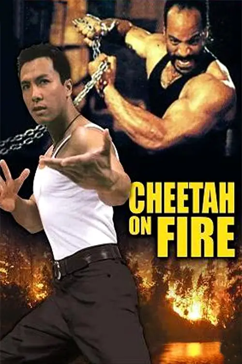 cheetah on fire 1992