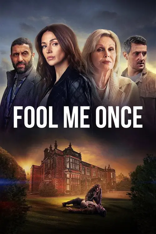 fool me once netflix original 2024