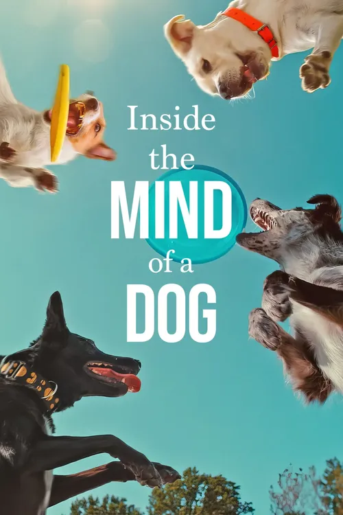 inside the mind of a dog 2024