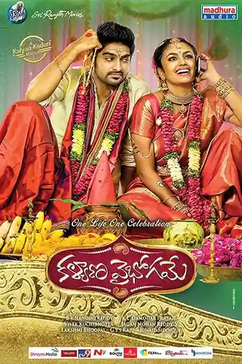 kalyana vaibhogame 2016