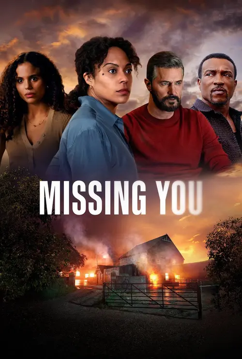 Download Missing You (2025) Season 1 Complete Dual Audio {Hindi English} Netflix Original WEB Series 480p | 720p WEB DL 9 missing you 2025