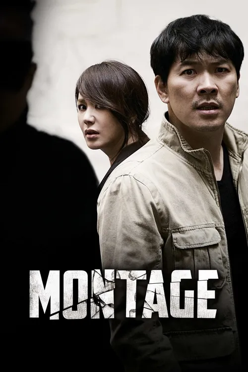 montage 2013