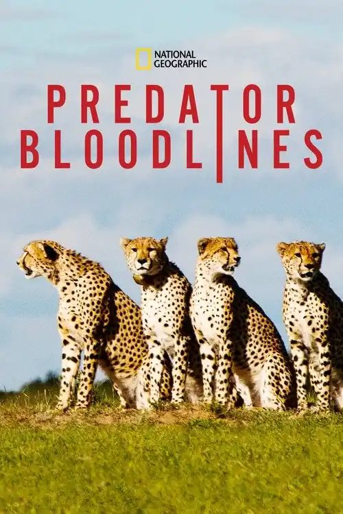 Download Predator Bloodlines (2021) Season 1 Hindi Complete DSNP WEB Series 480p | 720p HDRip 1 predator bloodlines 2021