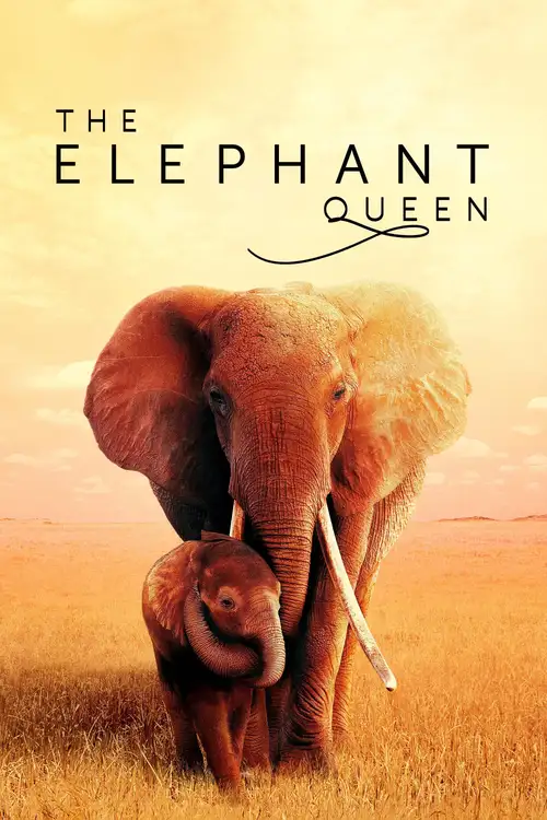 the elephant queen 2019