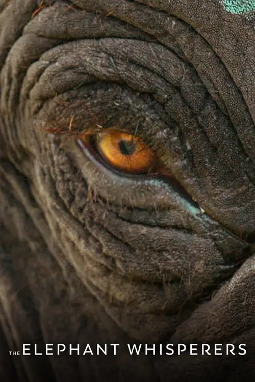 the elephant whisperers 2022
