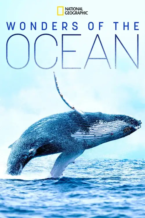 Download Wonders of the Ocean (2021) Season 1 Hindi Complete DSNP WEB Series 480p | 720p HDRip 19 wonders of the ocean 2021